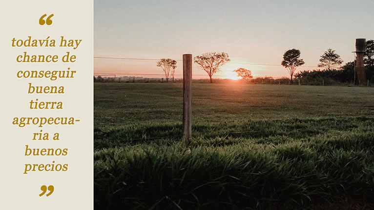 Foto al amanecer de un pastizal en el Chaco paraguayo